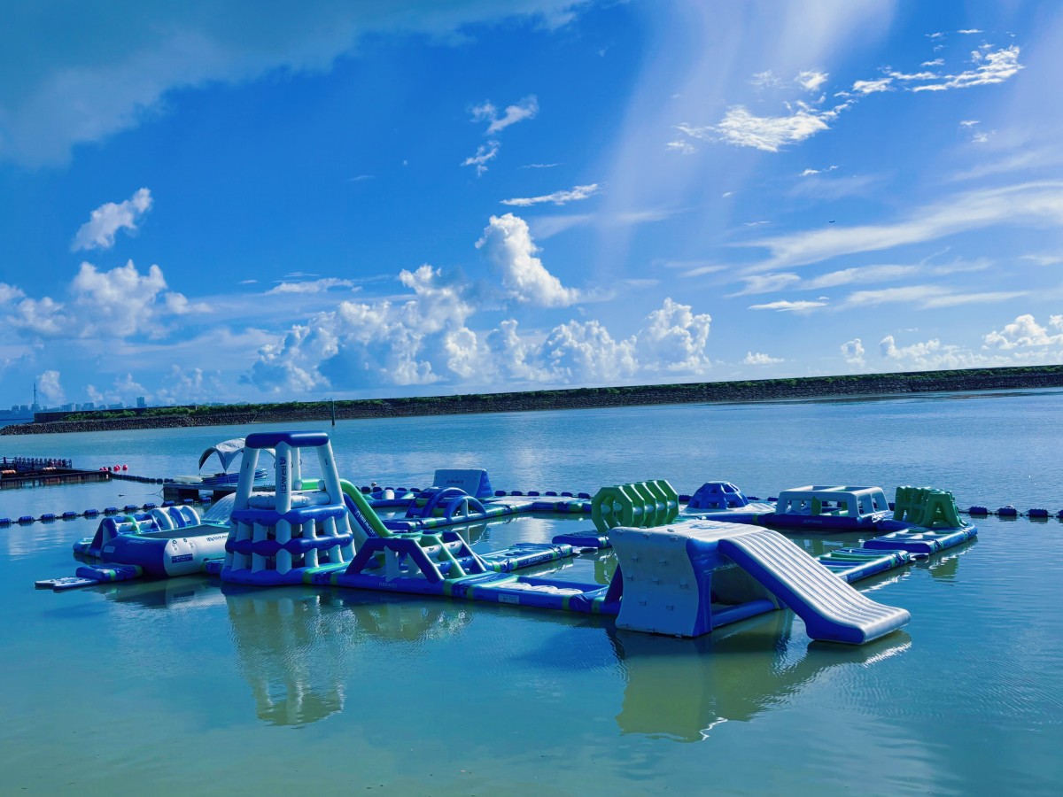 千葉北周辺手渡し限定】 SoTech ソフトボード フィッシュ 総合案内所